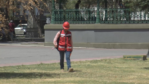 VIDEO Incrementarán alergias y  enfermedades vías respiratorias por enterada de otoño
