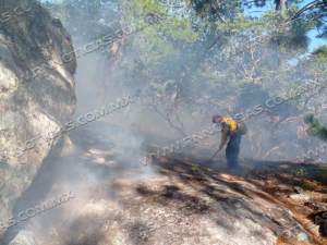 Protección Civil Tamaulipas y CONAFOR extinguen incendio forestal en San Carlos