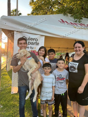 INVITAN A LA CIUDADANÍA A LA FERIA DE ADOPCIÓN CANINA Y FELINA