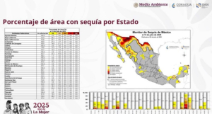 Solo una peque&ntilde;a parte de Tamaulipas tiene sequ&iacute;a