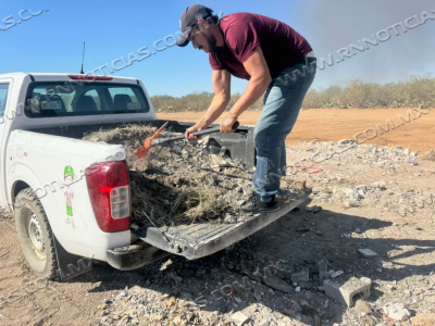 Gesti&oacute;n Ambiental Ha Aplicado 20 Multas Por Faltas Ambientales En Nuevo Laredo A Inicio De A&ntilde;o