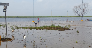 Laguna de Champay&aacute;n a 2.10 metros, inunda muelle y amenaza negocios