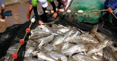 Violan la Pesca del Robalo Acusan Nula Vigilancia