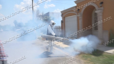 Nuevo Laredo est&aacute; libre de casos de dengue; piden a ciudadan&iacute;a no confiarse