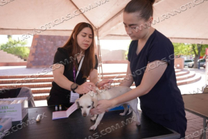 *RESPONDEN CIUDADANOS A JORNADA DE VACUNACIÓN CANINA DEL GOBIERNO MUNICIPAL*