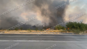 Cinco incendios de zacatal movilizan a Bomberos y Protecci&oacute;n Civil en Nuevo Laredo; no hubo lesionados