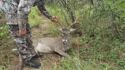 Aumenta afluencia de cazadores y derrama econ&oacute;mica en temporada cineg&eacute;tica en Nuevo Laredo