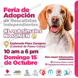 COMUSA y Rescatistas Independientes realizan Feria de Adopciones para Perros y Gatos Rescatados