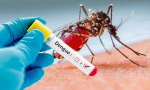 Trepa Victoria a primer lugar en casos de dengue