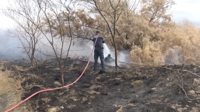 VIDEO Bajan incendios en zacatales por condiciones de clima