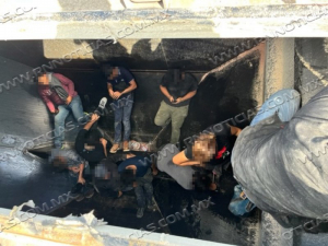 Agentes de la Patrulla Fronteriza del Sector Laredo con la ayuda del canino Timmy descubren a individuos indocumentados sellados dentro de un vagón del tren
