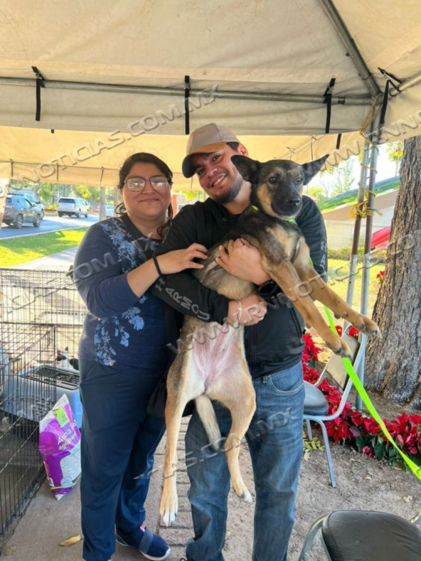 GOBIERNO MUNICIPAL INVITA A FERIA DE ADOPCIÓN CANINA EN PLAZA ZARAGOZA