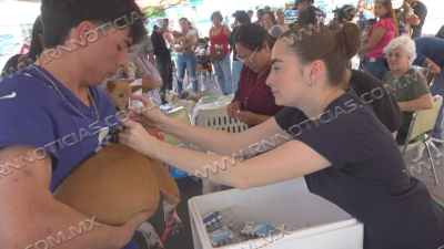 &nbsp;Protegen a mascotas contra la rabia, moquillo y parvovirus
