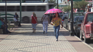 Incrementarán alergias y  enfermedades vías respiratorias por enterada de otoño